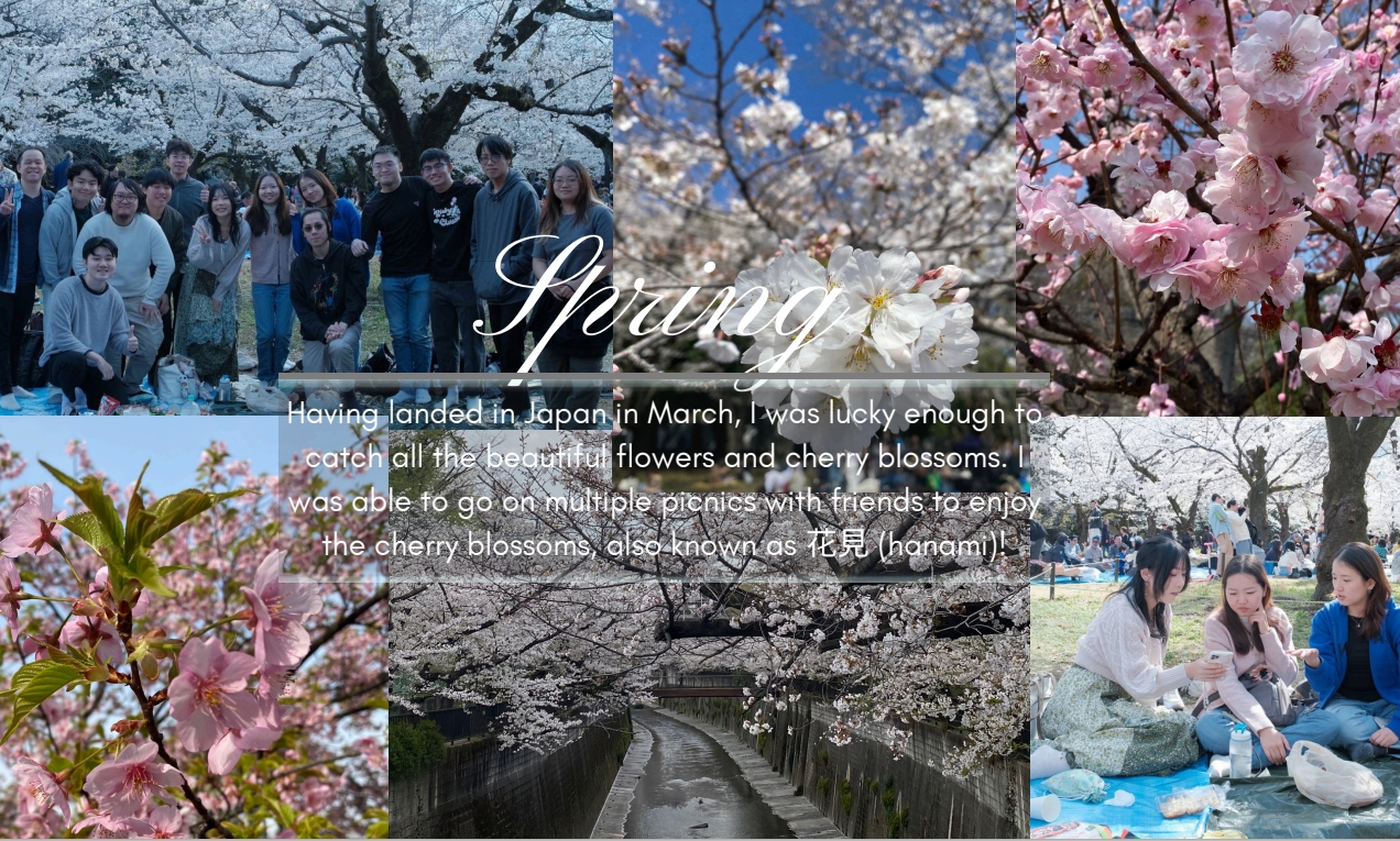 WASEDA UNIVERSITY Spring/Summer 25