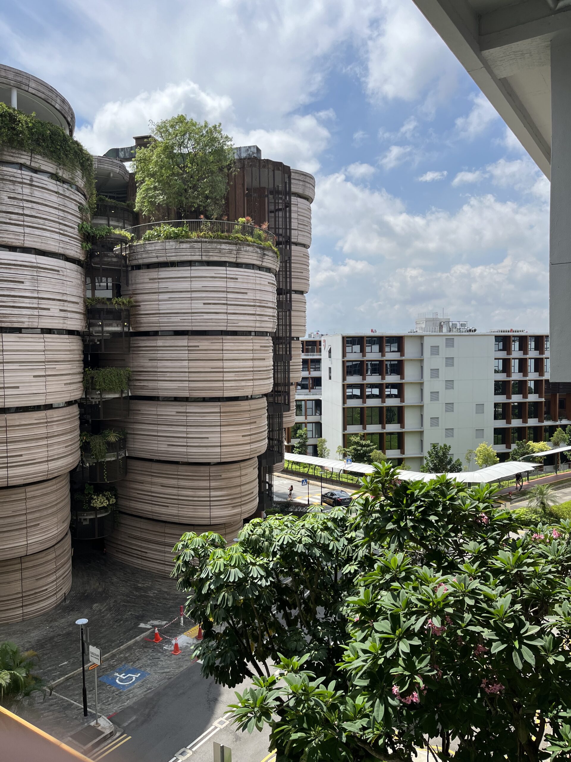 Reflections from My Study Abroad at NTU, Singapore