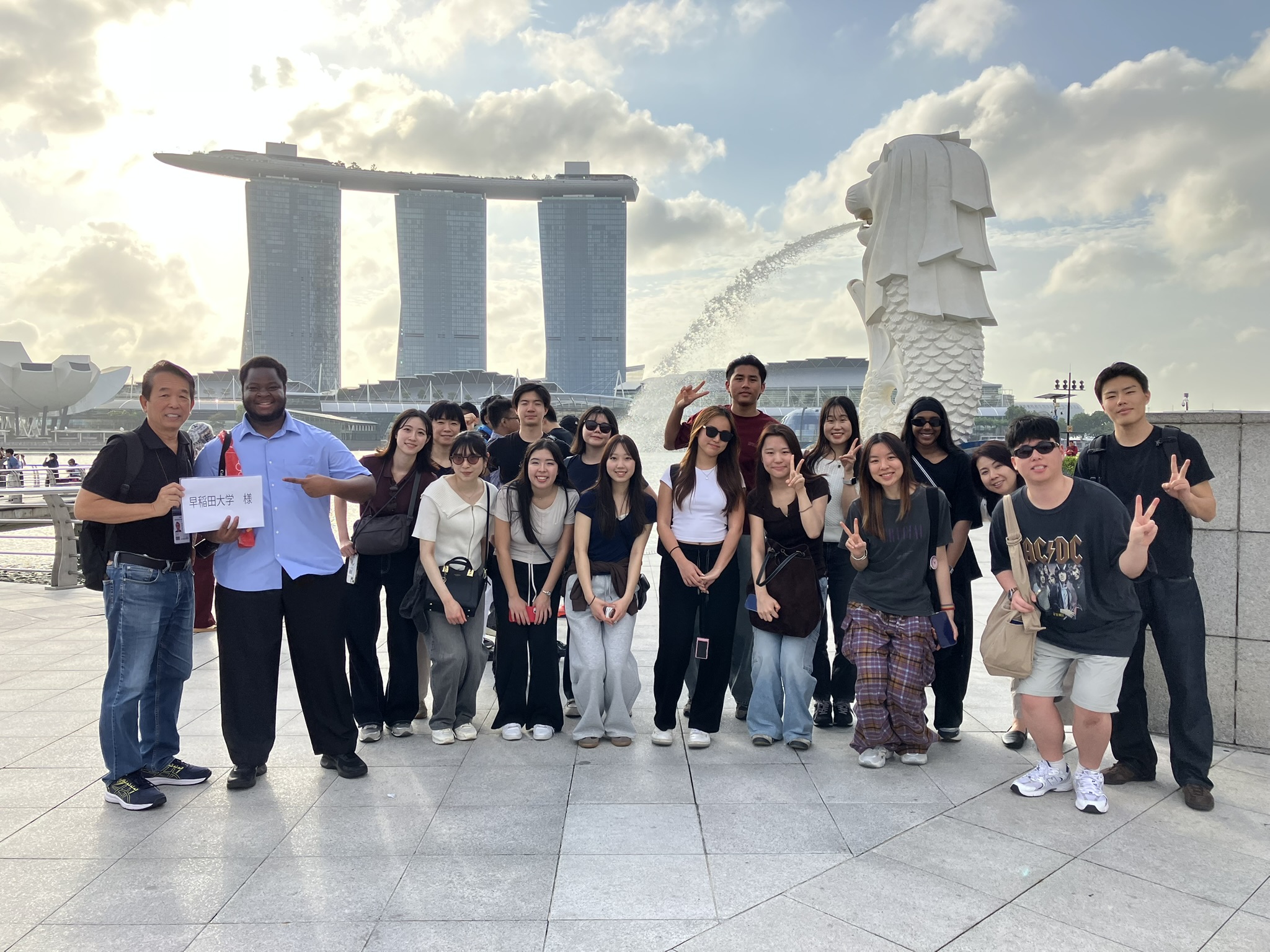 Rethinking Social Innovation through Singapore: Are the “Unnecessary” Really “Unnecessary”?