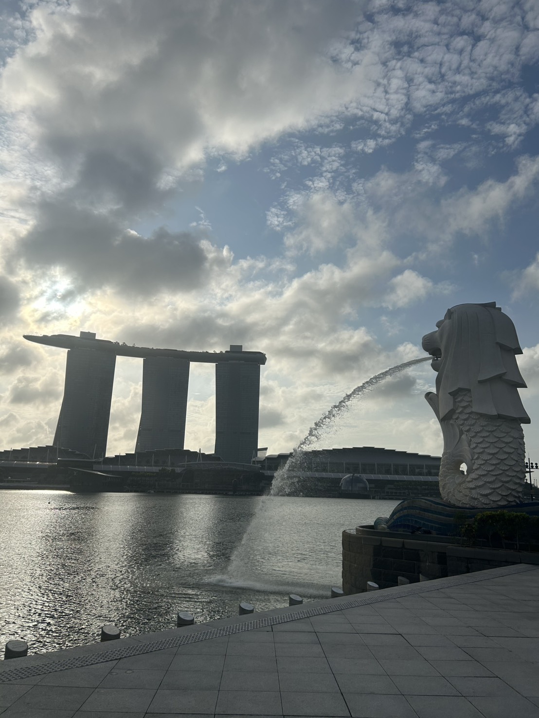 CAMPUS Asia Social Innovation Field Study in Singapore AY2025