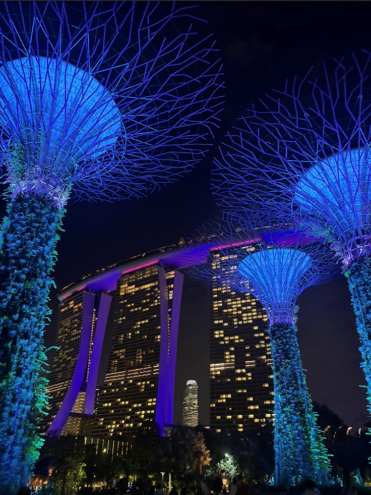 CAMPUS Asia Field Study in Singapore